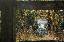 BEYOND THE FENCE: The natural world as can be seen extending beyond the confines of a fence.